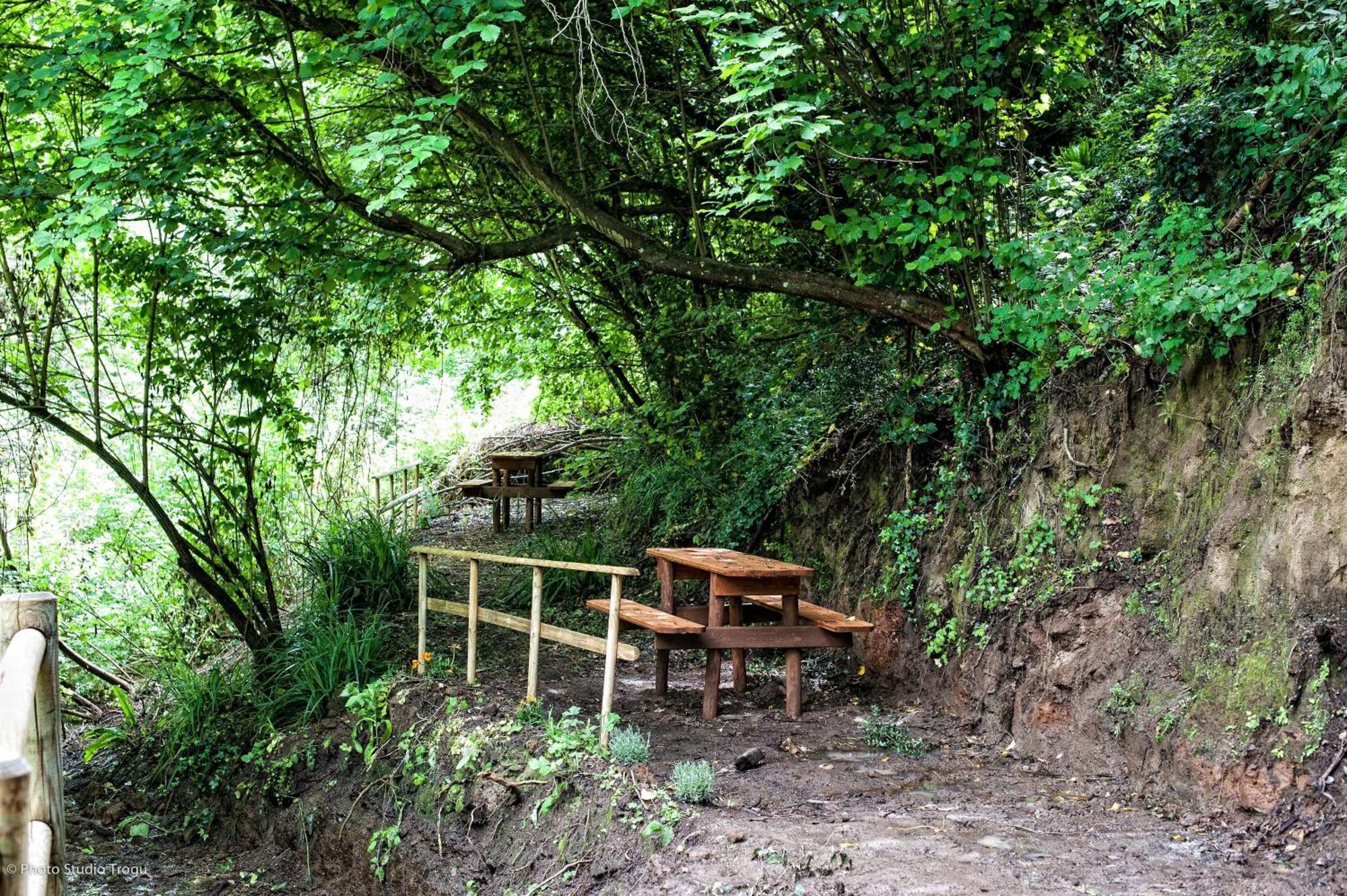 Il Giardino dei Flintstones B&B Cerveteri Exterior foto
