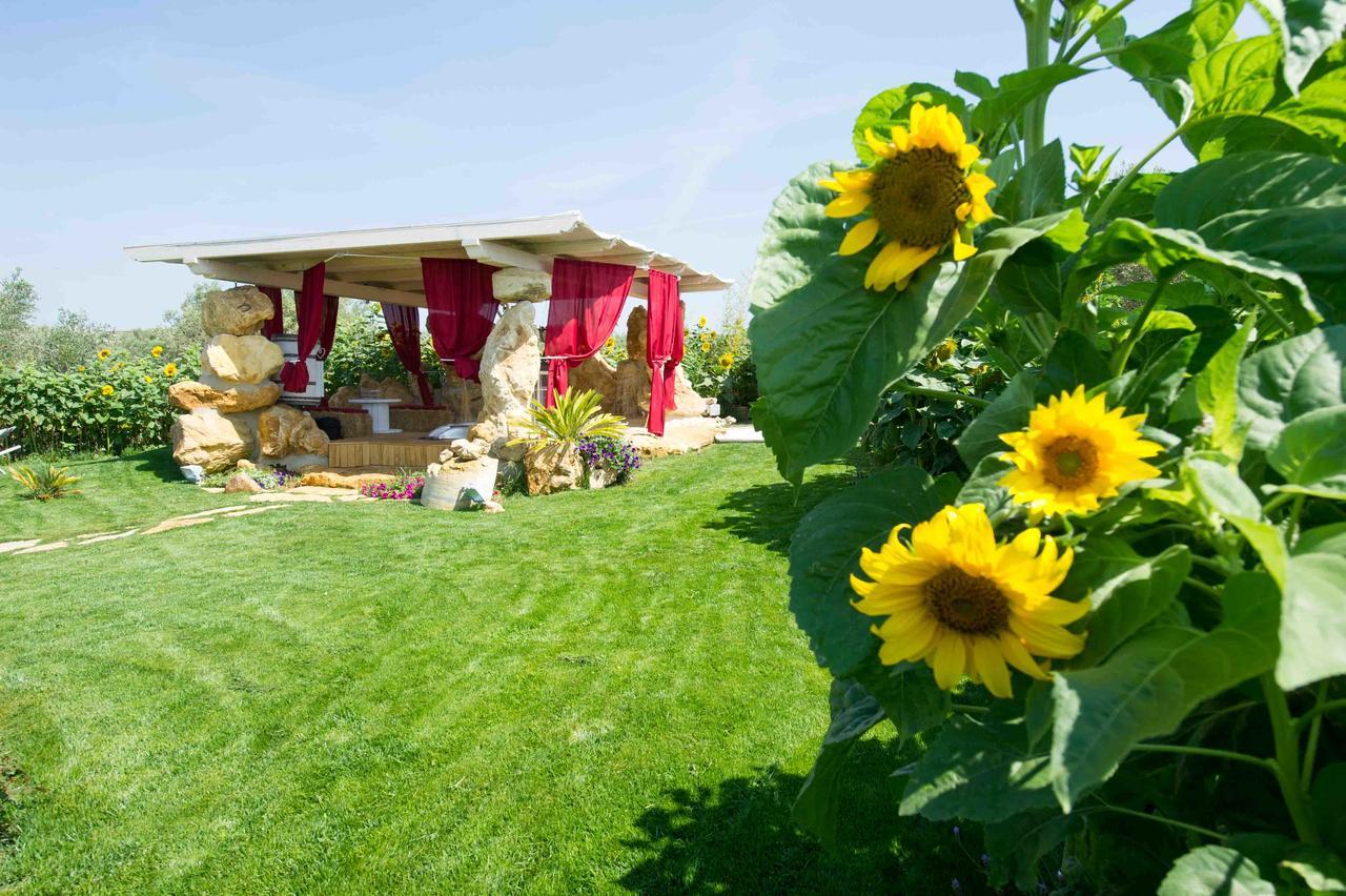 Il Giardino dei Flintstones B&B Cerveteri Exterior foto